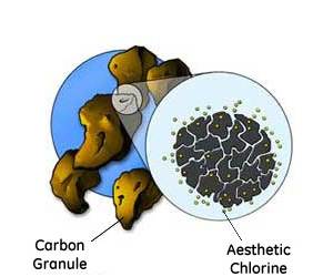 GE Homespring Carbon Filter