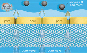 reverse osmosis membrane