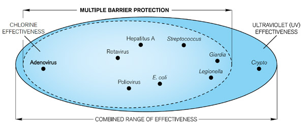 UV disinfection effectiveness versus chlorine disinfection