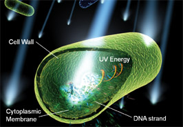 UV Microbe Destruction