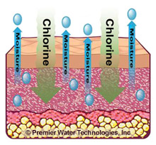 Chlorine causes dry skin