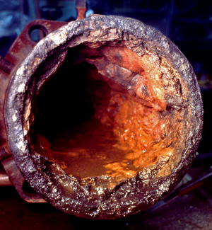 Biofilm in a water main