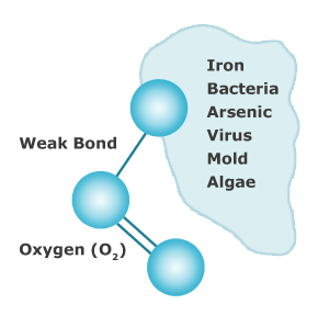 Ozone Disinfection helps Iron Filter for Well Water